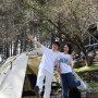 포천 벚꽃 명소 수목원 프로방스 캠핑장 봄날의 캠핑(feat. 명당자리)