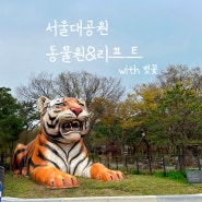 서울대공원 동물원 리프트 예약 및 막바지 벚꽃 피크닉