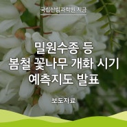 [국립산림과학원 지금] 밀원수종 등 봄철 꽃나무 개화 시기 예측지도 발표