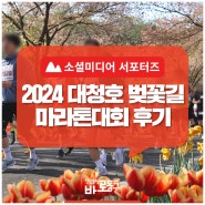 세상에서 가장 긴 벚꽃길에서 달리는 「대청호 벚꽃길 마라톤대회」 현장 톺아보기