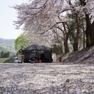 [3인가족캠핑] 동탄 청려수련원 벚꽃 캠핑 즐기기