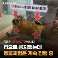 [전시동물]법으로 금지했는데 동물체험은 계속 진행 중