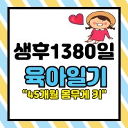 생후 1380일 육아일기(45개월 아기 몸무게 키/얼집 일상)