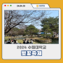 2024 수원대학교 벚꽃축제