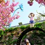 구룡포 일본인가옥거리 (근대문화역사거리)와 해터바다마루 겹벚꽃 & 주차 팁