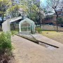 [대구광역시] 작은 정원과 테라스가 있는 대구 베이커리 아이올리 대형카페