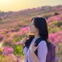 비슬산 참꽃 군락지 일출산행 등산코스 (24년 4월 19일)