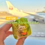 일본여행 기념품 유바리 멜론 스팀케이크 Yubari Melon SteamCake🍈