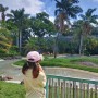 하와이 여행 8일 - 호놀룰루 동물원 & 아오키 철판요리