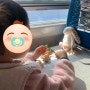 [부산] 충동적 부산 여행, 4살 아이와 단둘이 기차 탑승, 페어필드 바이 메리어트 부산 송도비치 , 조식