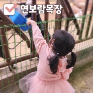 김포 아기랑 갈만한곳 연보람목장 주말 방문후기 (예약, 가격, 주차)