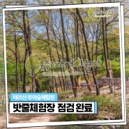 천안 태조산 유아숲체험원 유치원 야외활동 밧줄놀이터