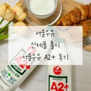서울우유 신제품 출시 서울우유 A2+ 후기