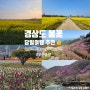 [정산] 부산출발 경상도 봄꽃 당일여행 추천