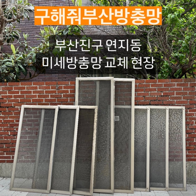 구해줘부산방충망의 첫 오더! 부산진구 연지동 미세방충망 교체 현장 다녀왔습니다 :)
