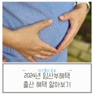 2024년 임산부 혜택과 출산혜택