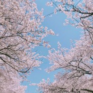 [4月] 봄의 계절