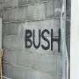 경주 카페 "부쉬(bush)"