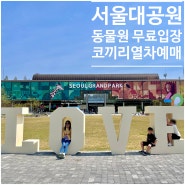 서울대공원 동물원 다둥이 무료입장 코끼리열차는 필수!