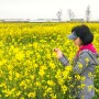 사계절 꽃 피는 섬 증도 유채꽃 모네의 연인 길