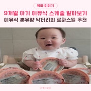 9개월 아기 이유식 분유 양 스케줄 닥터리의 로하스밀 시판 추천