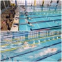 제53회 전국소년체육대회 / 2024 전국생활체육대축전 수영부문 (IYC 수영단 선발)
