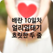 임신일기, 배란 10일차 얼리임테기 흐릿한 두 줄 확인