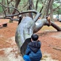 아이랑 여행 하동 송림공원 아름드리 소나무 섬진강 뷰 하동 포구공원 산책