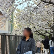 [일상] 금세 져버리는 벚꽃향 가득한 4월초 꽃구경 한 날 기록