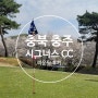 충북 충주 시그너스 CC : 4월 날씨 좋은 날 벚꽃 라운딩 후기