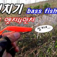 다미끼 엣지 4인치 테스트 구멍치기 bass fishing