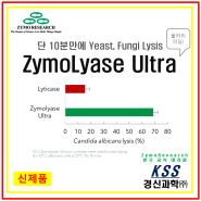 신제품] Zymolyase Ultra (Yeast/Fungi lysis enzyme)