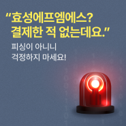 혹시 피싱은 아닐까요? 효성에프엠에스의 오해와 진실!