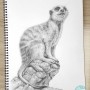 연필 드로잉 귀여운 '미어캣' 동물 그림 그리기