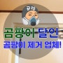 서울 곰팡이 제거 잘 하는 업체 시공 사례