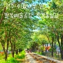5월 여행지 팔복 예술공장 이팝나무 팔복동 철길 전주 수목원 공조팝나무