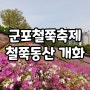 2024년 군포 철쭉축제 철쭉동산 4월 19일 개화상황