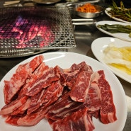 강북 고기집 추천 : 수유역 소고기 찐맛집 백로참숯구이