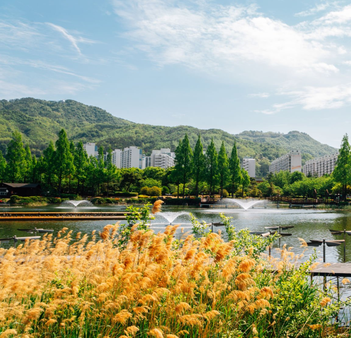 대전 금강로하스대청공원 평화로운 공원의 풍경과 화려한...