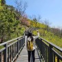 서울 초보 등산 추천 / 등린이도 올라갈 수 있는 인왕산 코스 (블랙야크 100대 명산 플러스)