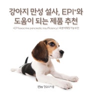강아지 만성 설사, EPI와 도움이 되는 제품 추천
