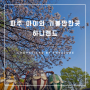 [파주 아이와 가볼만한곳] 하니랜드 feat.숨은벚꽃명소