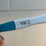 [임신] 임신확인♥첫 초음파