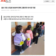 초등학생 어린이 교통안전 캠페인 '교통안전 옐로카드(반사경)' 만족도 조사 결과 공개!