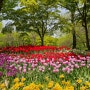 수인 분당선을 타고 서울숲 튤립 봄꽃 여행하다