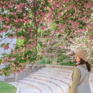 경남 창원 겹벚꽃 가볼만한곳 늘푸른전당 위치 주차