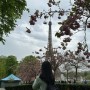 [프랑스/파리/2024.04.08] 셋째날 - 에펠탑, 디즈니랜드
