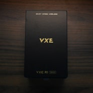 VXE R1 Pro 마우스 리뷰, 소프트웨어 링크 포함