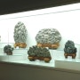 청송 수석 꽃돌 박물관 오묘한 돌의 세계