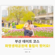 화명생태공원 튤립이 가득한 부산 데이트 코스 + 꽃놀이 사진 팁!